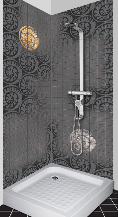 3D Shower Simmulation